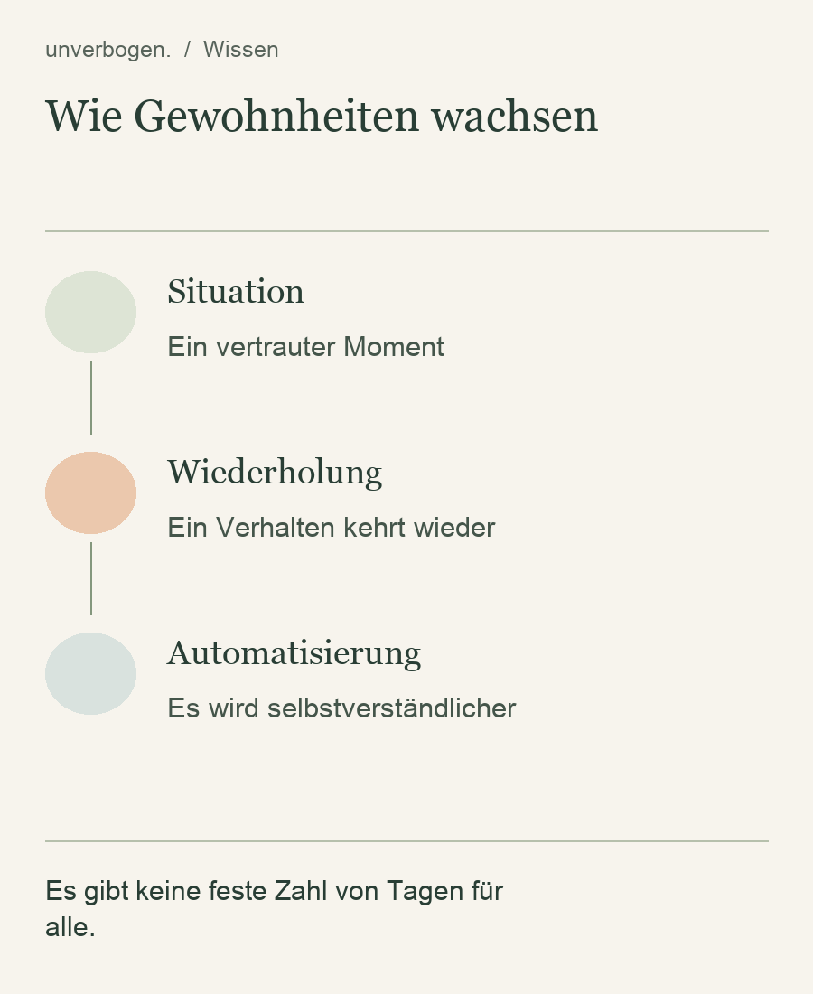 Situation: Ein vertrauter Moment; Wiederholung: Ein Verhalten kehrt wieder; Automatisierung: Es wird selbstverständlicher. Es gibt keine feste Zahl von Tagen für alle.